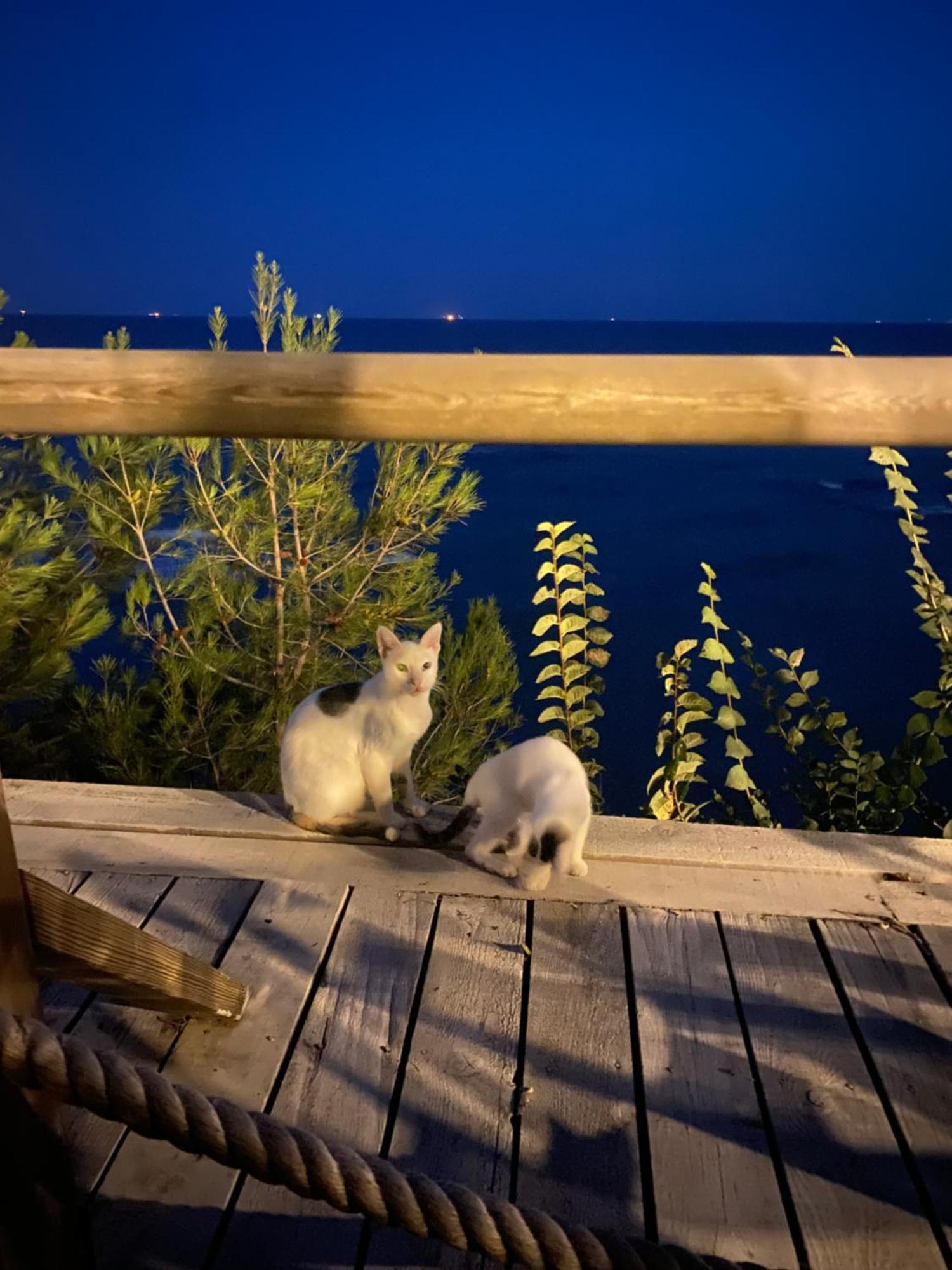 Pia Mare Otel Gunduzlu Екстериор снимка